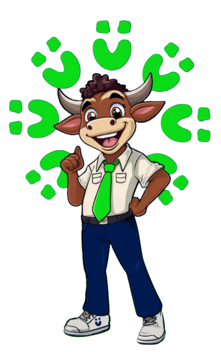 A visual representation of the workflow process